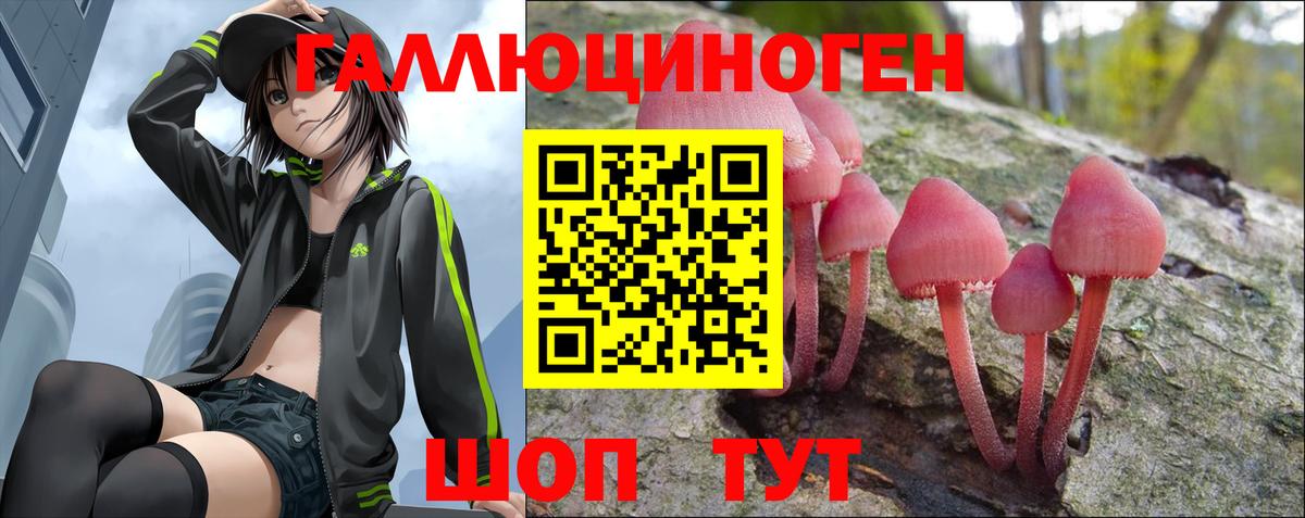 Псилоцибиновые грибы Psilocybine cubensis  Вход с VPN  Усть-Джегута 