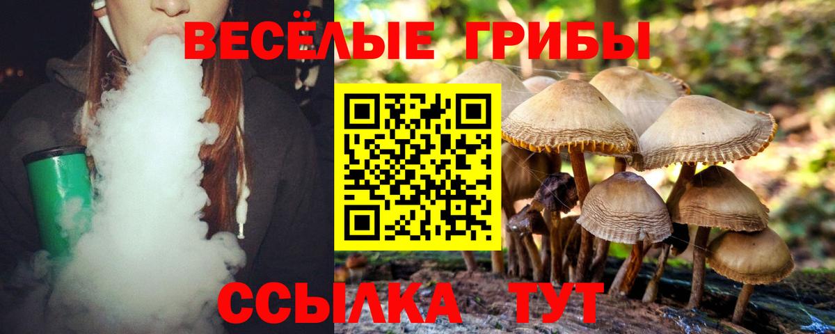 Псилоцибиновые грибы ЛСД Усть-Джегута
